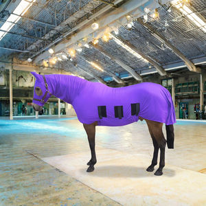 Ensemble de couvertures d'hiver pour chevaux avec cache-cou, rembourrage en coton, respirant, couverture d'écurie - Product Image 2