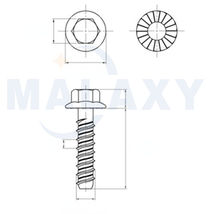 Bullone di ancoraggio autosettito esagonale MALAXY vite di cemento per flangia vite di espansione autofilettante - Product Image 2