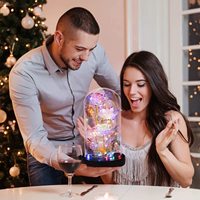 AYOYO OEM Rose, Cadeau pour la Saint-Valentin, Rose en feuille d'or pour elle, Rose La Belle et la Bête avec lumière