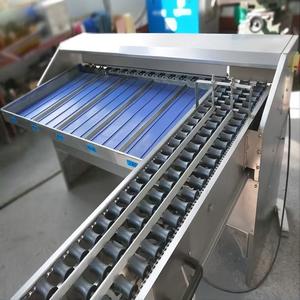 La machine de <span class=keywords><strong>tri</strong></span> d'œufs la plus pratique, machine de <span class=keywords><strong>tri</strong></span> et de scellage d'œufs, machine de <span class=keywords><strong>tri</strong></span> d'œufs automatique - Product Image 5