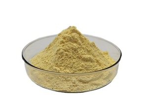 100% Pure and Natural Ginger Powder Water Soluble Ginger Extract 1%-20% Gingerol 1%-<strong>6</strong>%<strong>Shogaol</strong>