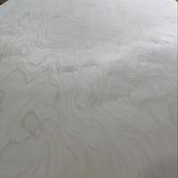 Contrachapado de Abedul 4x8 12mm, Núcleo 100% Abedul, Impermeable, Certificado E0/CE/ISO, Chapa de Abedul para Muebles de Taller, Venta al por Mayor