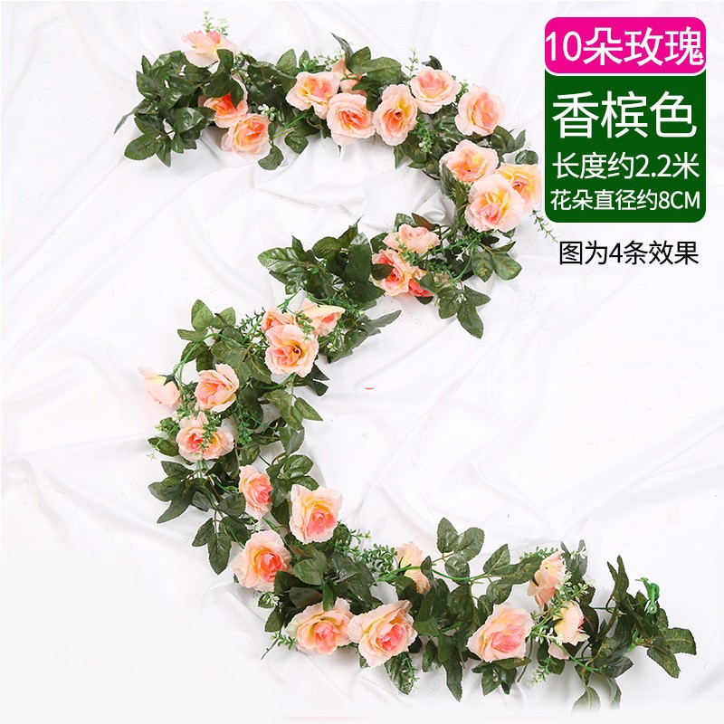 10 rose champagne 1 bar