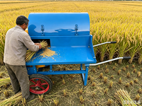 Décortiqueuse de riz portable KEFAM avec tamis de nettoyage – Petite machine à battre pour riz et blé propres