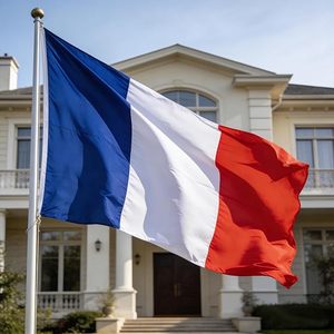 Bandera de Francia de 3x5 pies - Banderas de poliéster con 2 ojales de latón para decoraciones de fiestas francesas, decoraciones para eventos deportivos - Product Image 3
