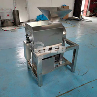 Automatische Groente Fruit Pulp Making Machine Hoge-Uitvoeren Fruit Puree Machine
