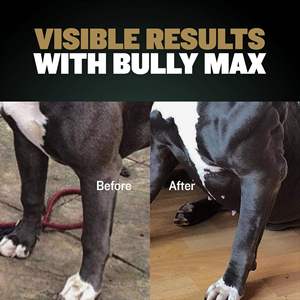 Suplementos Masticables Suaves para Perros para el Aumento Muscular con 11 Proteínas en 1, Glucosamina HCI, para el Crecimiento Muscular Canino, OEM ODM - Product Image 5