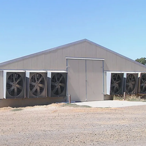 पॉल्ट्री हाउस उपयोग के लिए प्रीफैब्रिकेटेड मॉड्यूलर गैल्वेनाइज्ड लाइट गेज स्टील फ्रेम निर्माण - Product Image 6