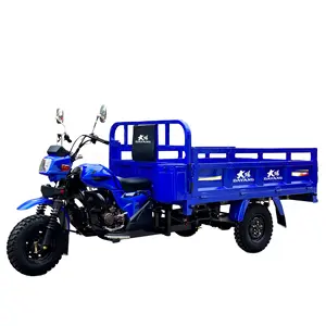 High Quality 200cc/250cc/300cc 3 räder motorräder für Adult Car Auto Dumping Cargo Motorcycle Loader CCC Origin Type