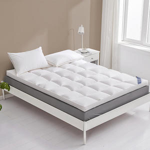 Milieuvriendelijke Zachte Bedbeschermer Verdikte Antislip Beschermende Pad Comfortabele Matras Topper Voor Hotels En Pensions - Product Image 2