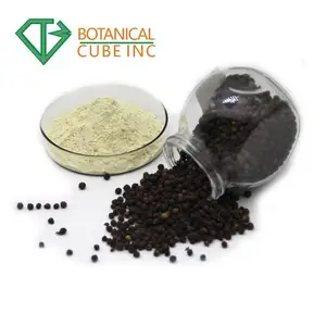 B.C.I Supply Extracto de planta de grado alimenticio de alta calidad Extracto de pimienta negra 95% 98% Piperine