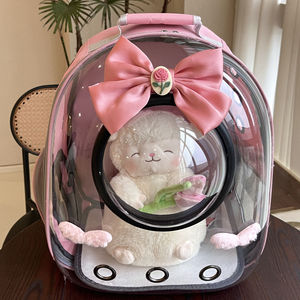 Large Capacity Eco-Friendly Outdoor Anti-Scratch Dog Cat Bird <b>Small</b> Animal <b>Backpack</b> Cute Transparent Pet Carrier Zipper Made - Product Image 5