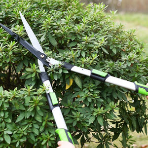 Cisailles à haie de longueur étendue pour la sculpture de jardin formelle - Product Image 6