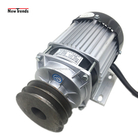 Unite BM1418ZXF 500W 36V 48V 60V Double poulie entraînement par courroie moteur à courant continu sans balais pour tondeuse Tricycle électrique moteur agricole