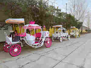 Chariot de citrouille électrique avec éclairage personnalisé, ornements rétro, chariot de tourisme pour utilisation commerciale à long terme - Product Image 3