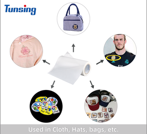 Shenzhen Tunsing PO <span class=keywords><strong>EAA</strong></span> Film Adesivo Hot Melt per la Zona Del Ricamo - Product Image 6