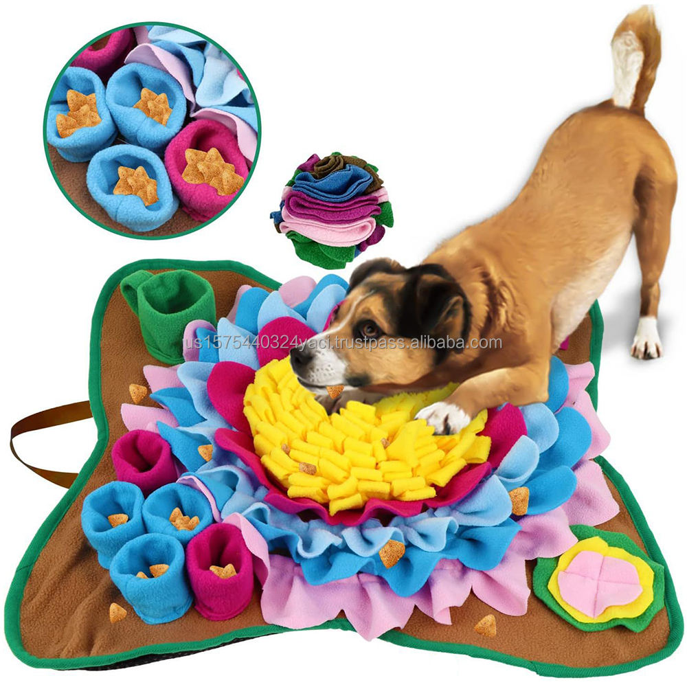 หลากสี-1