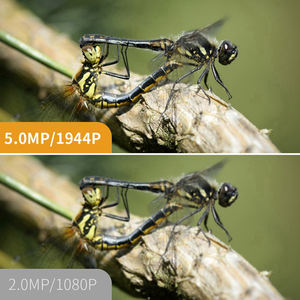 Endoscope 5MP 8mm à mise au point automatique 3-en-1 Micro USB/USB/Type-C avec stockage cloud, capteur CMOS, options de câble de 1m à 10m, haute résolution 1080P - Product Image 6