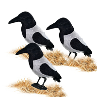 Décoy réaliste floqué et peint en PE, imperméable et écologique, pour le chasse et la lutte antiparasitaire en extérieur (corbeau, pie)
