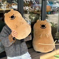 Oreiller en peluche ours de dessin animé Kawaii, jouet en peluche doux, ours souriant mignon, coussin en peluche pour adultes et enfants, cadeau d'anniversaire
