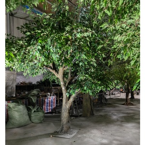 Grand <span class=keywords><strong>olivier</strong></span> décoratif Public pour la décoration intérieure et extérieure - Product Image 5