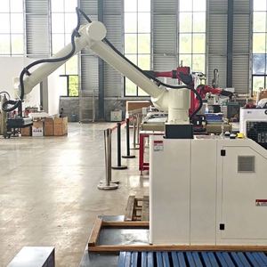 Robot collaboratif de palettisation à 6 axes contrôlé par PLC, avec moteur à boîte de vitesses, capacité 30 kg – Station de travail de palettisation et empilage, machine à paletter – Vente chaude - Product Image 6
