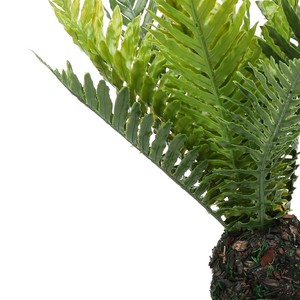 Verde Artificial hoja de <span class=keywords><strong>palma</strong></span> plantas de plástico jardín hogar decoraciones Scutellaria Tropical árbol plantas falsas - Product Image 2