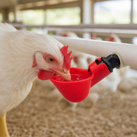 Abreuvoirs automatiques robustes pour volailles GUANYI FARM – Vente en gros pour pigeons, cailles et poulets