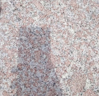 Peinture acrylique granitée optimisée anti-buée, peinture murale effet granit pour travaux extérieurs de clubs de villégiature