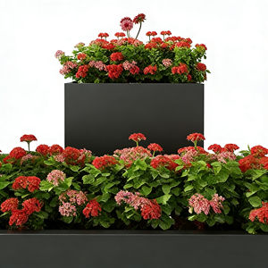 Grand bac à fleurs rectangulaire en acier inoxydable avec cloison intégrée <span class=keywords><strong>pour</strong></span> <span class=keywords><strong>plantes</strong></span> d'extérieur - Product Image 5