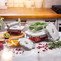 Lot de 4 récipients de conservation alimentaire en verre sous vide avec couvercles sous vide et pompe manuelle, récipients de préparation de repas en verre hermétiques