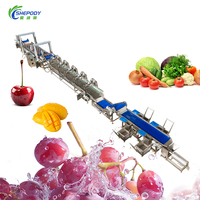 Multifunctionele was- en drooglijn voor rozijnen, automatische reinigingsmachine voor appels en dadels, spuitwas- en sorteerlijn voor fruit