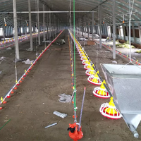 Équipement d'élevage avicole : Ligne complète automatique d'alimentation et d'abreuvement pour poulets de chair