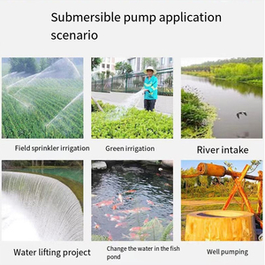 Qdx 3KW 4HP 6-inch bơm chìm cho thủy lợi-8m nâng, 150m ³/h dòng chảy cao Bơm giếng sâu với tất cả các đồng động cơ - Product Image 4