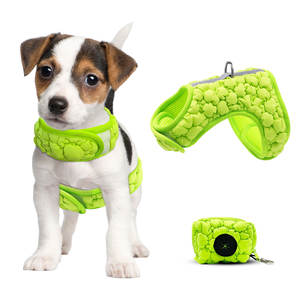 <strong>Dog</strong> Collar and Leash Set with Adjustable Floral Collar Metal Buckle and Tag Decor for <strong>Dogs</strong> Cloth - Product Image 2