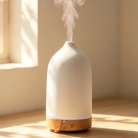 Diffuseur d'arômes ultrasonique avec recharge Type-C, capacité de 200 ml, éclairage LED et fonction humidificateur, diffuseur d'air parfumé