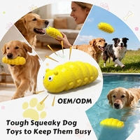 Jouet interactif pour chien avec logo personnalisé, couleur personnalisable, en forme de chenille, couineur, résistant à la mastication, pour la baignade et le jeu de rapport, adapté à toutes les races