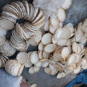 Eco-Friendly <b>Bamboo</b> <b>Rolling</b> Coaster Set with Cup Holder Home Coasters & Cups-Sustainable Mats & Pads - Product Image 1