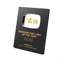 Trophée personnalisé en argent métallique pour médias sociaux, plaque élégante en miroir