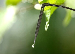 Sistema di irrigazione <span class=keywords><strong>a</strong></span> <span class=keywords><strong>goccia</strong></span> curvo da 3 mm per serre agricole, con gocciolatore <span class=keywords><strong>a</strong></span> freccia <span class=keywords><strong>a</strong></span> gomito piegato - Product Image 4