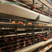 Cage à poulets de type H pour équipement avicole, prête à être expédiée, système de cage à poulets automatique en fil de fer galvanisé soudé