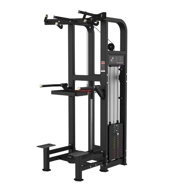 Professional Strength Equipment Fitness Pull up Asssistance Exercise