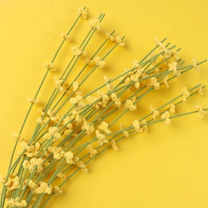 Bouquet de fleurs fraîches préservées, fait main, au crochet, transfrontalier, avec radix ophiopogonis, en fil tricoté, pour le Nouvel An et le Printemps - Product Image 1