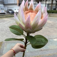 Kain Sutra Buatan Sentuhan Alami Bunga Protea Raja untuk Dekorasi Meja Rumah, Hotel, dan Rangkaian Bunga Pernikahan
