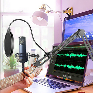 Microphone à condensateur GAM-F16 Enping Pro 16 mm plaqué or pour l'enregistrement en direct, l'enregistrement d'instruments et la diffusion - Product Image 2