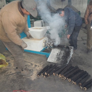 China <strong>Manufacturer</strong> Charcoal <strong>Briquettes</strong> <strong>Machine</strong> Production Line - Product Image 2