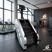 Appareil de fitness pour grimper les escaliers, simulateur d'escalade, machine d'exercice, stepper