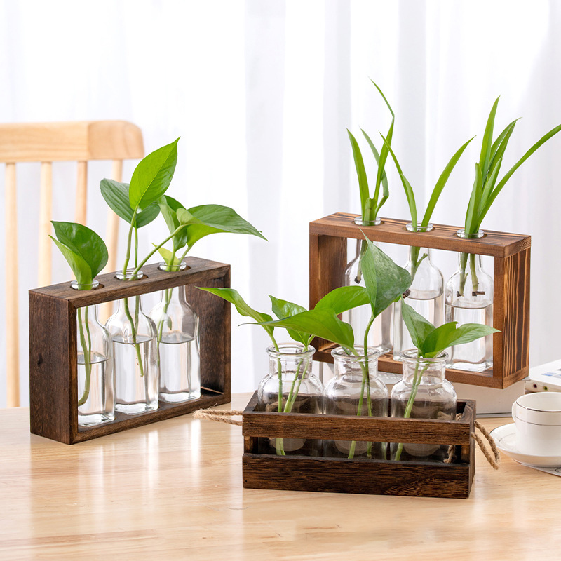 Desktop High Borosilicate Glass Hydroponic Vase