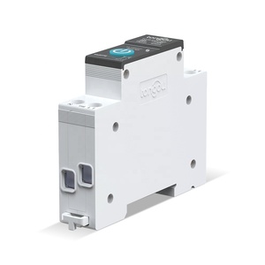 API TUYA 1P+N 1-63A Zigbee Smart <strong>Switch</strong> Energy Meter With Metering Circuit Breaker <strong>Timer</strong> Relay For Smart Life Products
