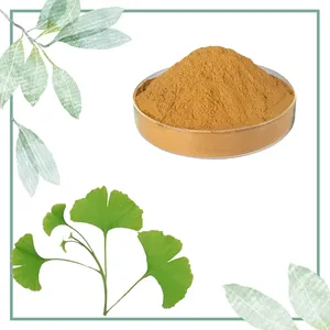 100% Pure Nature Ginkgo Biloba Powder Ginkgo Biloba Extract Ginkgo Leaf Extract Powder